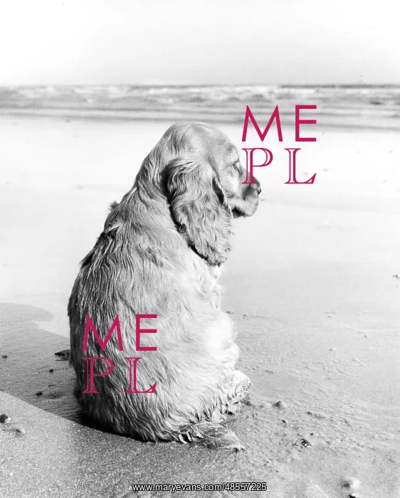 : Susi - at the seaside : Susi - at the seaside