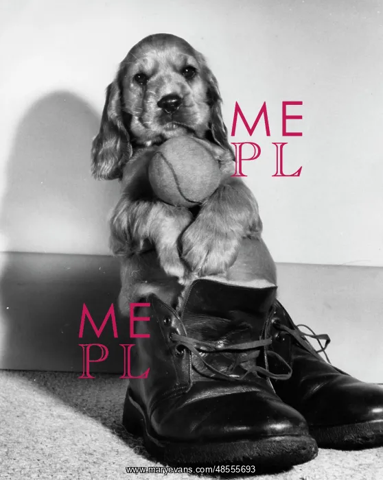 : Susi - sitting in a boot : Susi - sitting in a boot