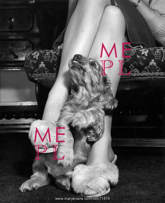 : Susi - sitting at Mum's feet