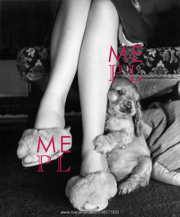 : Susi - sitting at Mum's feet : Susi - sitting at Mum's feet