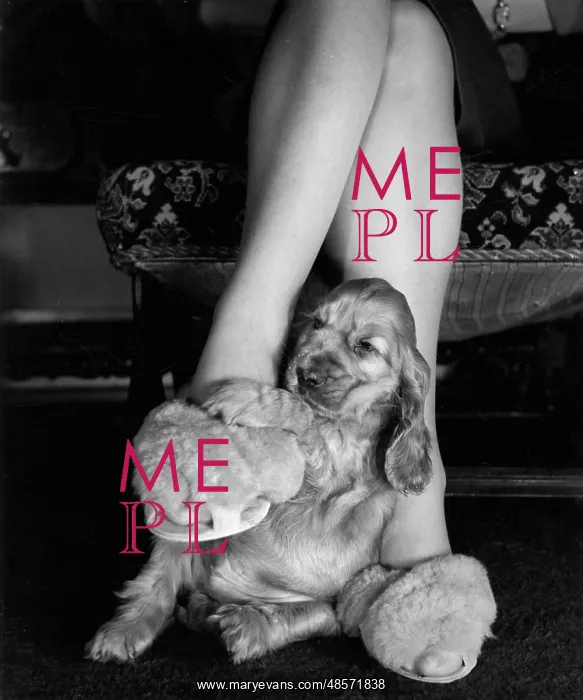  : Susi - sitting at Mum's feet
