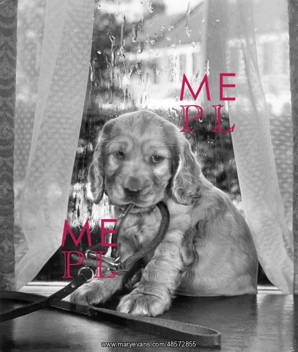 : Susi - sitting by the window : Susi - sitting by the window
