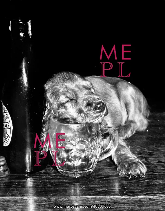 : Susi - sleepy after drinking beer : Susi - sleepy after drinking beer