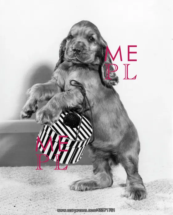  : Susi - with a small hatbox
