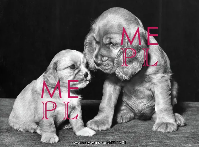 : Susi - with smaller puppy : Susi - with smaller puppy