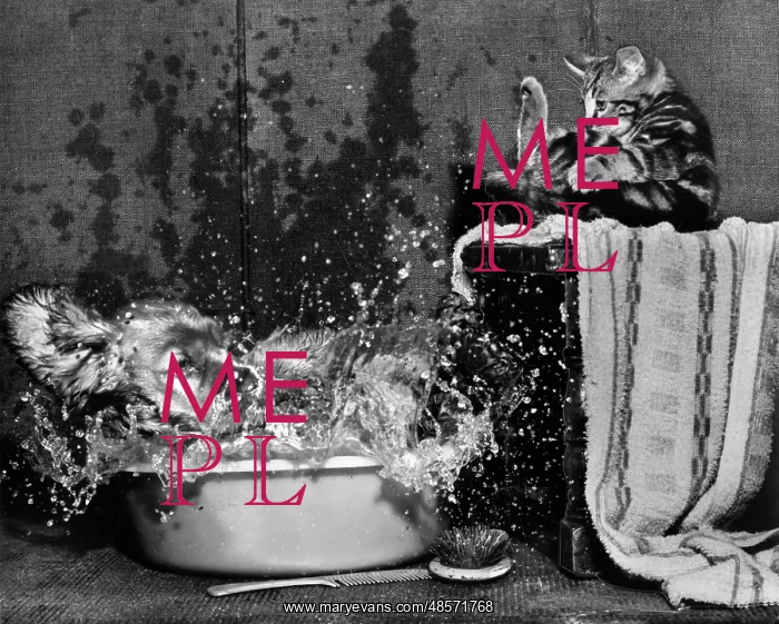 : Susi - splashing about in a plastic bowl : Susi - splashing about in a plastic bowl