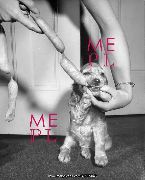  : Susi - with string of sausages