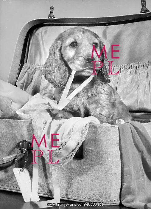  : Susi - with suitcase of clothes