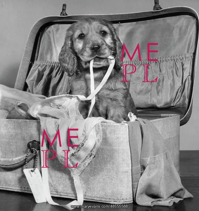  : Susi - with suitcase of clothes