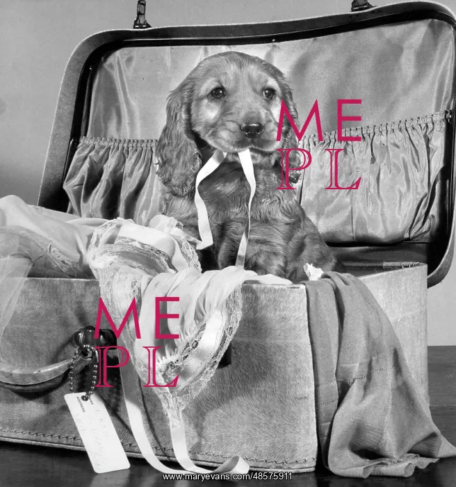  : Susi - with suitcase of clothes