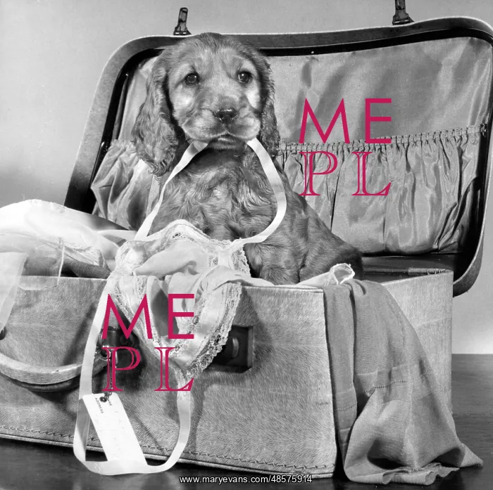  : Susi - with suitcase of clothes