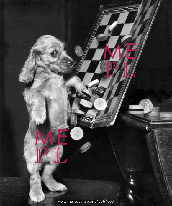 : Susi - tipping up a draughts board : Susi - tipping up a draughts board