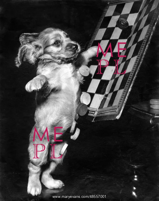 : Susi - tipping up a draughts board : Susi - tipping up a draughts board