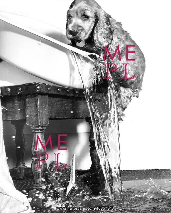  : Susi - upsetting a basin of water