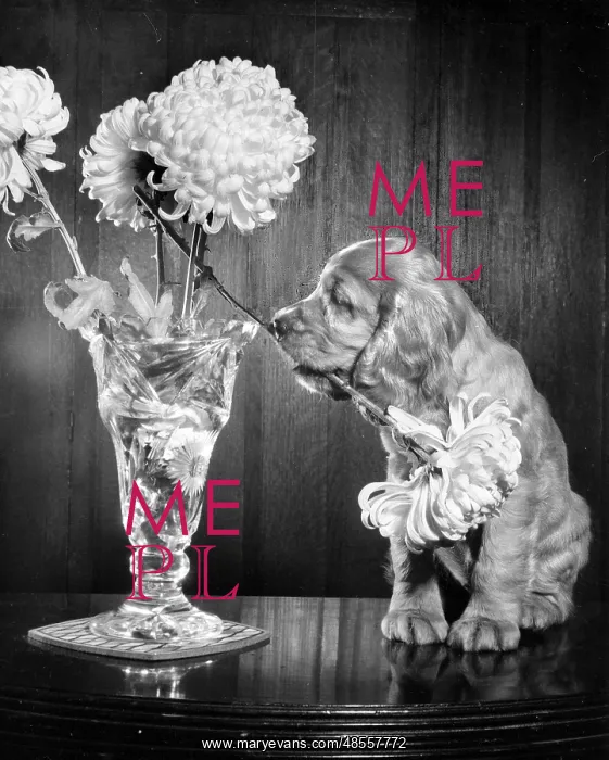  : Susi - with a vase of flowers