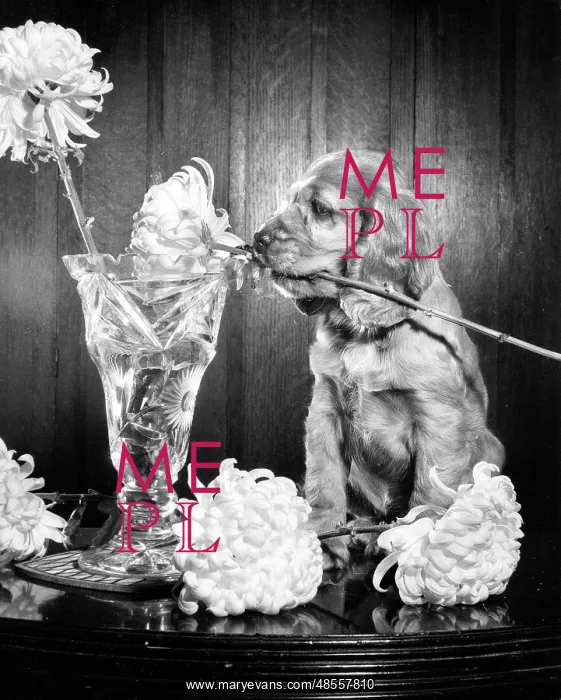  : Susi - with a vase of flowers