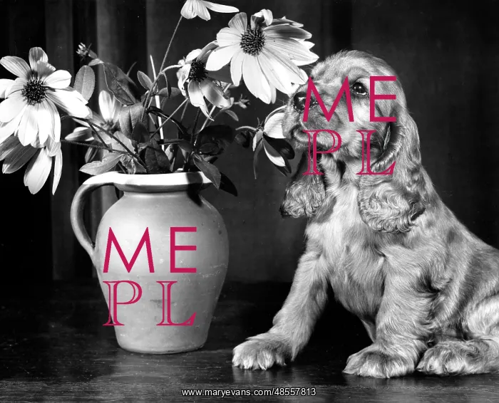  : Susi - with a vase of flowers