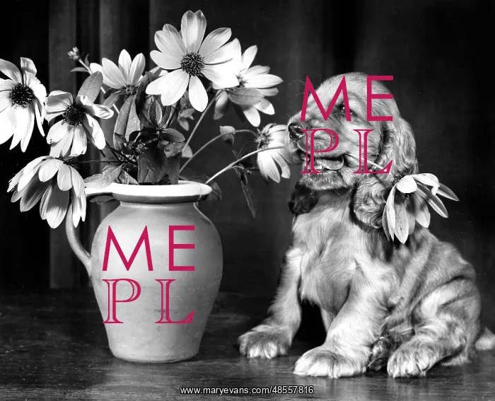  : Susi - with a vase of flowers
