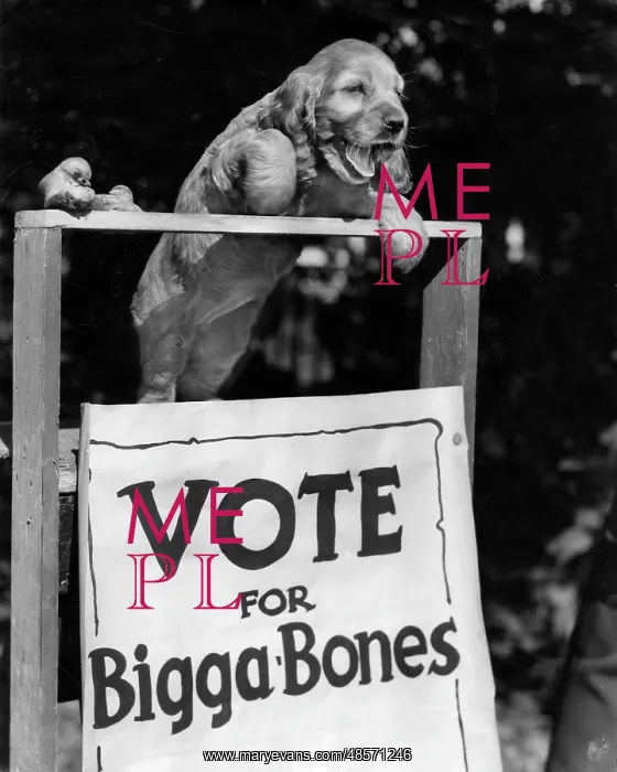 : Susi - Vote for Bigga Bones : Susi - Vote for Bigga Bones