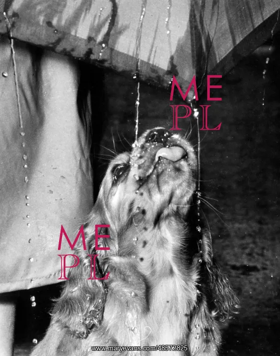 : Susi - walking in the rain under umbrella : Susi - walking in the rain under umbrella