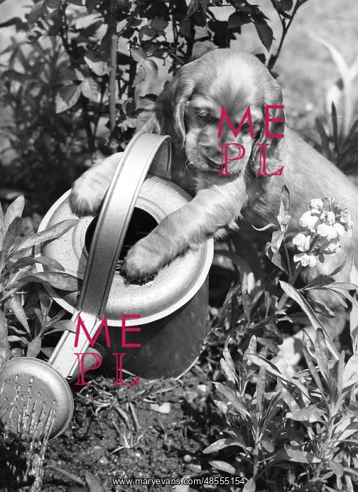  : Susi - with watering can
