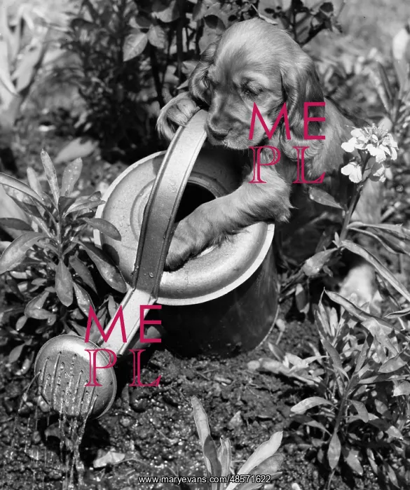  : Susi - with watering can