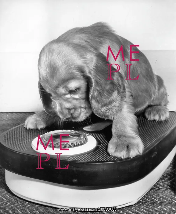  : Susi - weighing herself