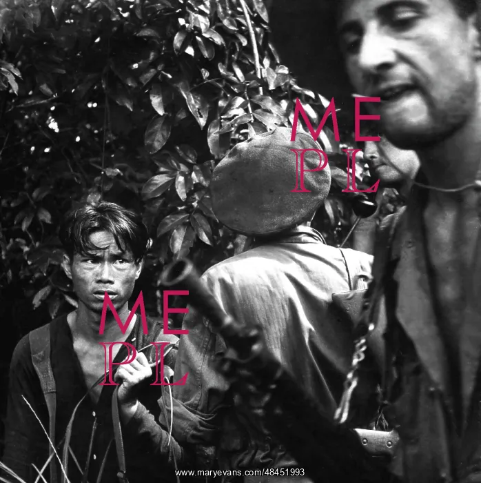 : A suspect found hiding in the jungle of Vietnam, 1954 : A suspect found hiding in the jungle of Vietnam, 1954