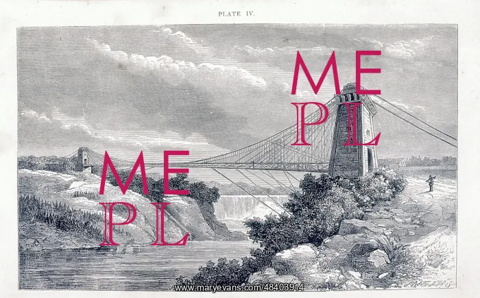 : Suspension bridge at the