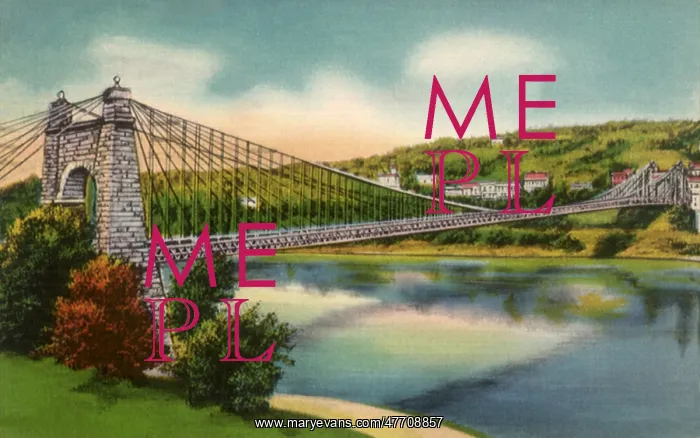  : Suspension Bridge. Wheeling