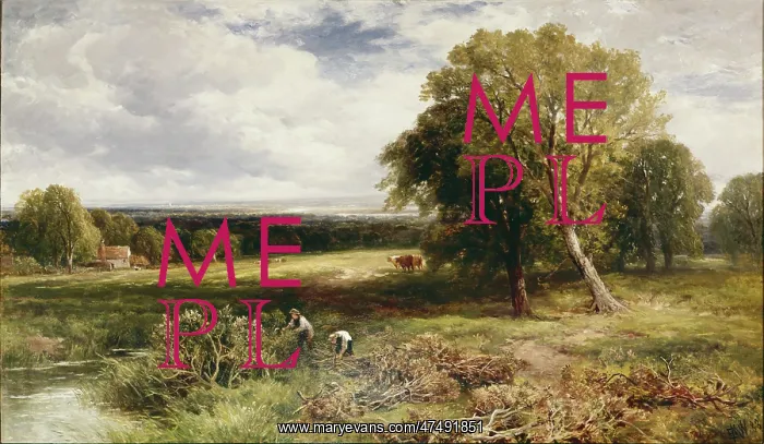 : Sussex Landscape : Sussex Landscape