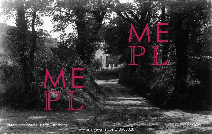 : A Sussex Lane, Berwick : A Sussex Lane, Berwick