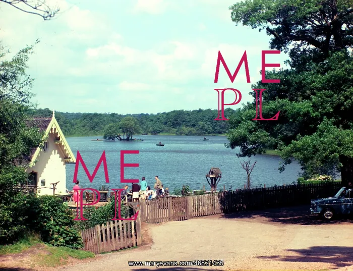 : Sutton Coldfield - Bracebridge Pool, Sutton Park : Sutton Coldfield - Bracebridge Pool, Sutton Park