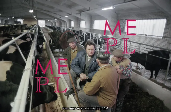 : Suvorov Collective Farm : Suvorov Collective Farm
