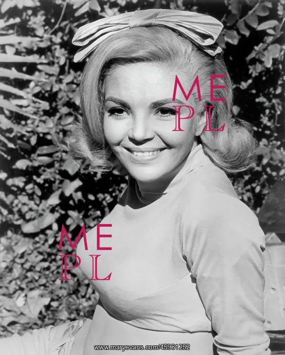 : Suzy Kaye - actress : Suzy Kaye - actress