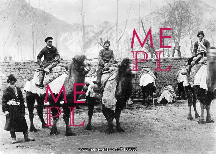: Sven Hedin in the Himalayas : Sven Hedin in the Himalayas