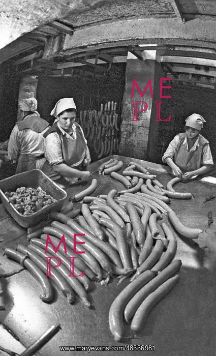  : Sviyazhsk meat processing and packing factory, 1992