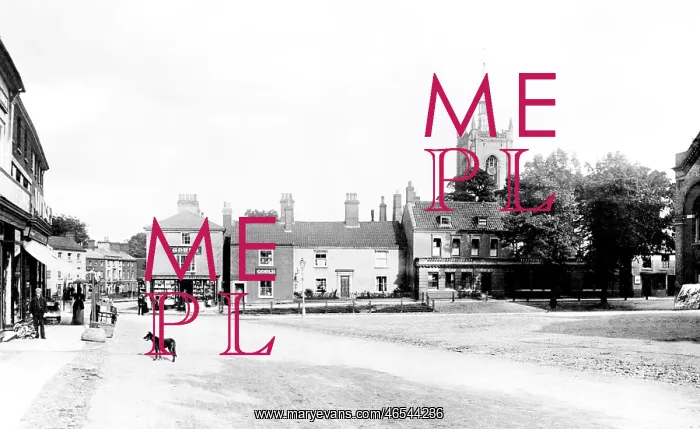  : Swaffham, Market Place 1891