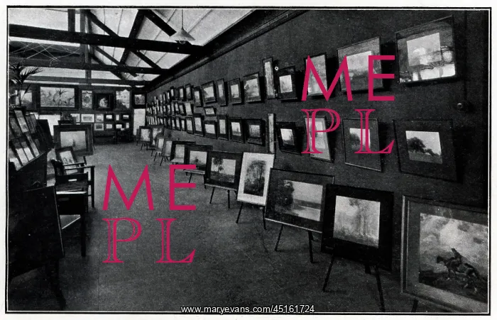 : Swain's New Exhibition Gallery : Swain's New Exhibition Gallery