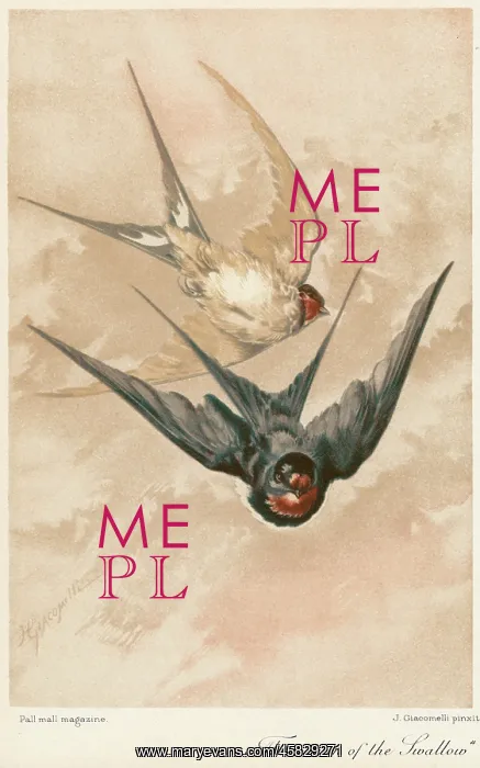 : TWO SWALLOWS