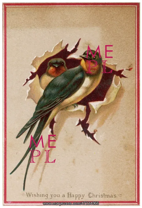  : TWO SWALLOWS