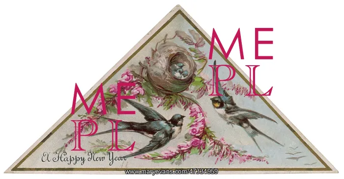  : SWALLOWS ON CARD