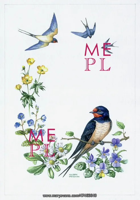 : Swallows with daisies and celandine etc : Swallows with daisies and celandine etc