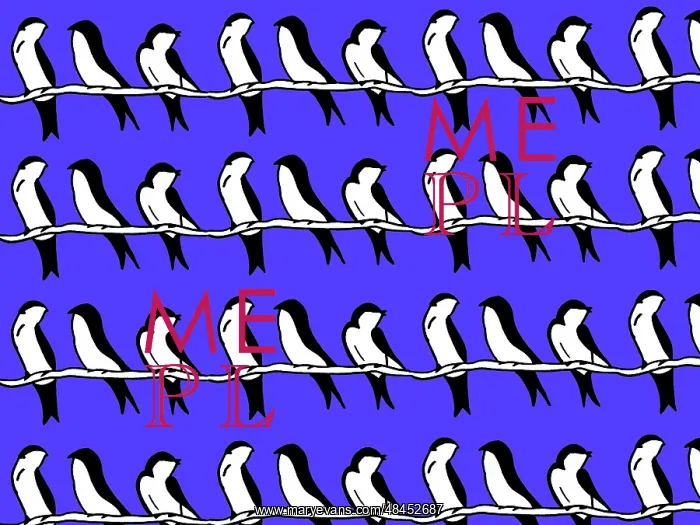 : Swallows on a line : Swallows on a line