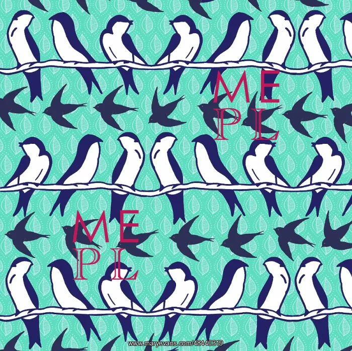  : Swallows and swifts