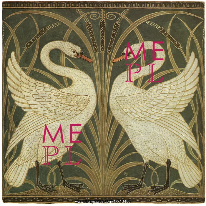  : Swan Design
