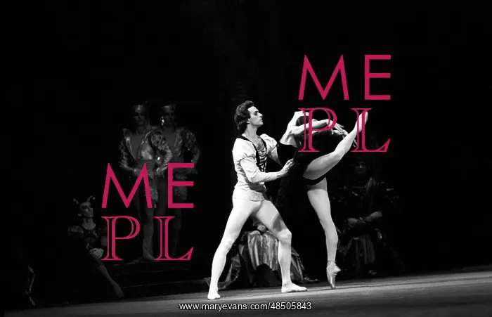 : Swan Lake Ballet, 1986 : Swan Lake Ballet, 1986