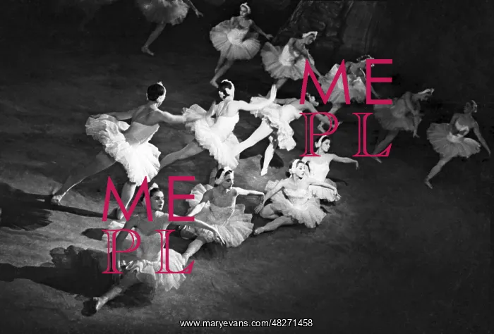 : Swan Lake ballet : Swan Lake ballet