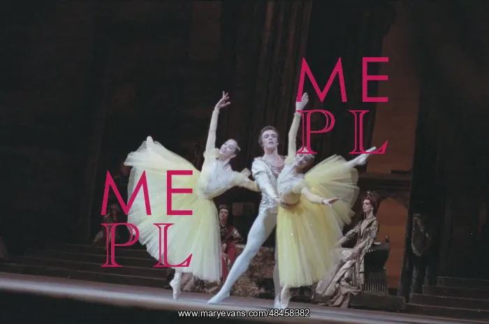 : Swan Lake ballet : Swan Lake ballet