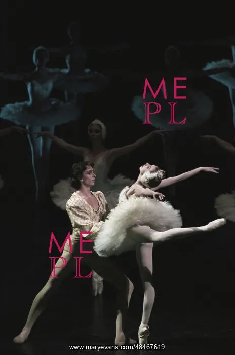 : Swan Lake ballet : Swan Lake ballet